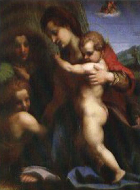 Andrea del Sarto Our Lady of sub China oil painting art